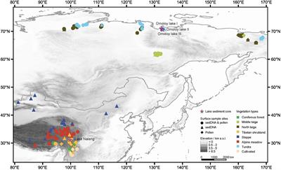 Vegetation Reconstruction From Siberia and the Tibetan Plateau Using Modern Analogue Technique–Comparing Sedimentary (Ancient) DNA and Pollen Data
